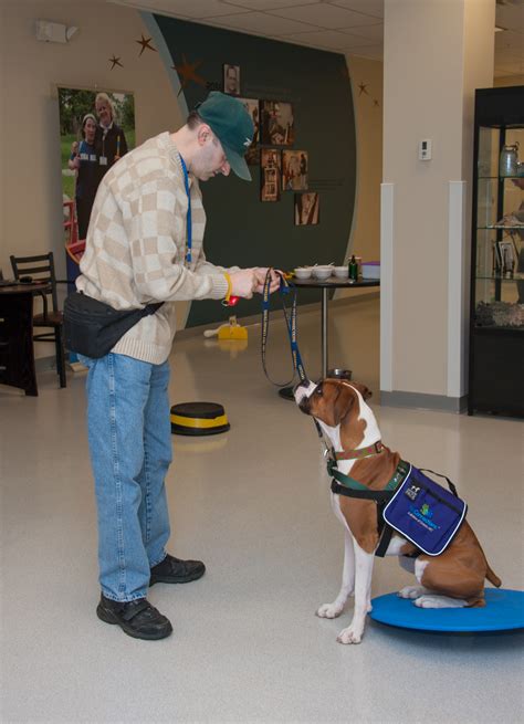 Therapy dog classes. Things To Know About Therapy dog classes. 
